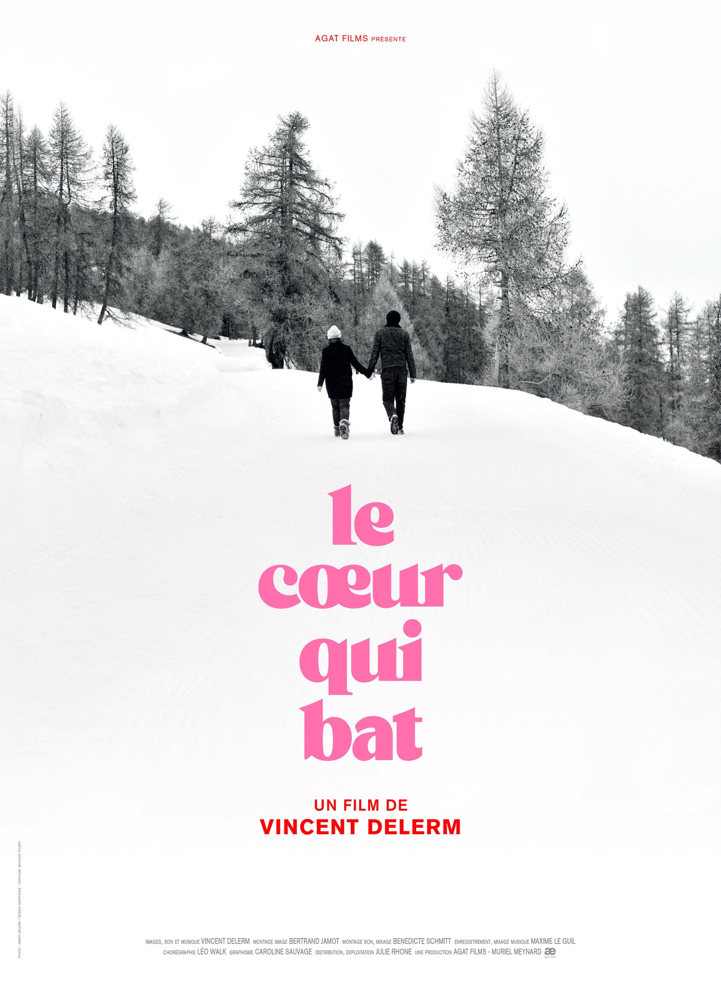 Vincent Delerm - DVD-CD Film et BOF "Le cœur qui bat"
