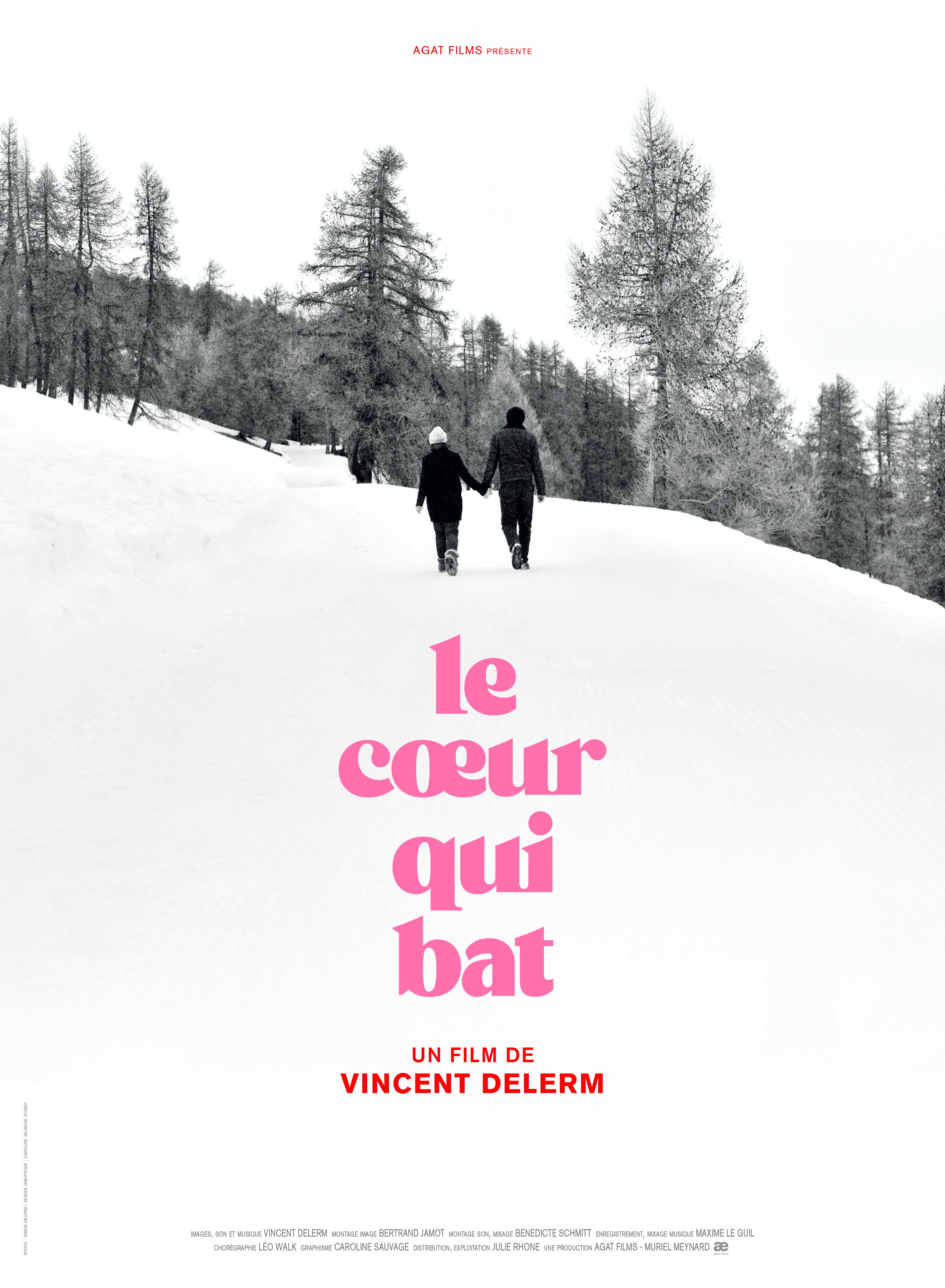 Vincent Delerm - Film et BOF "Le cœur qui bat" (DVD-CD)