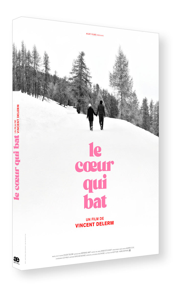 Vincent Delerm - DVD-CD Film et BOF "Le cœur qui bat"