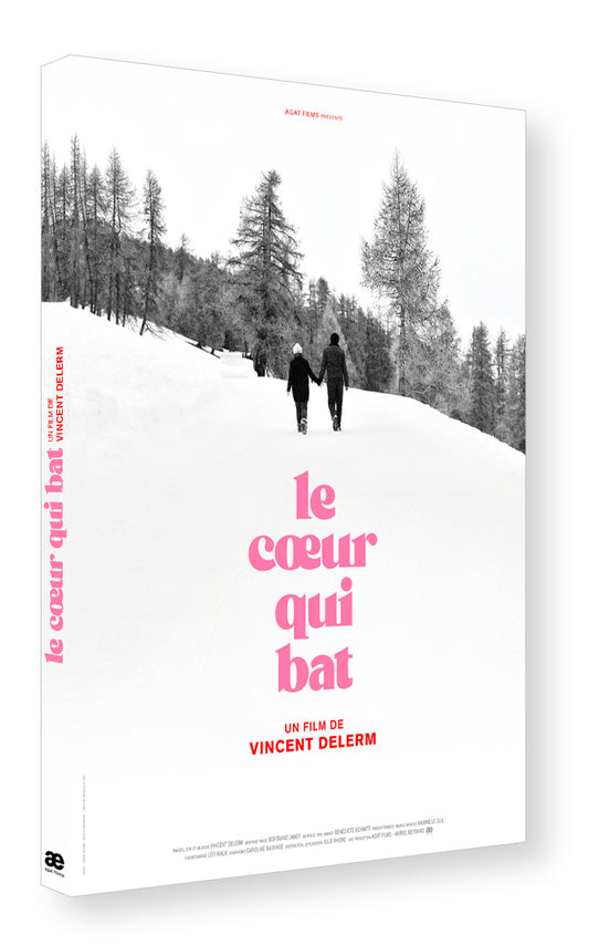 Vincent Delerm - DVD-CD Film et BOF "Le cœur qui bat"